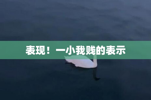 表现！一小我贱的表示