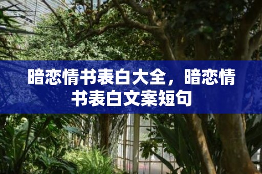 暗恋情书表白大全，暗恋情书表白文案短句