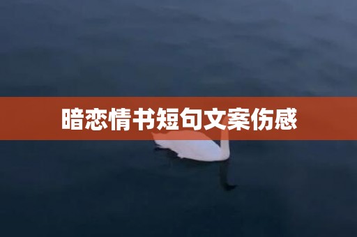 暗恋情书短句文案伤感