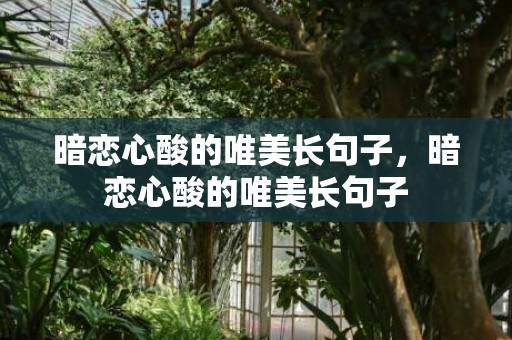 暗恋心酸的唯美长句子，暗恋心酸的唯美长句子