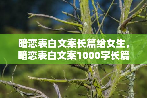 暗恋表白文案长篇给女生，暗恋表白文案1000字长篇