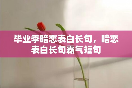 毕业季暗恋表白长句，暗恋表白长句霸气短句