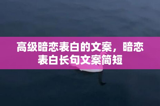 高级暗恋表白的文案，暗恋表白长句文案简短
