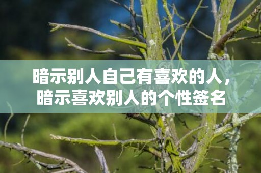 暗示别人自己有喜欢的人，暗示喜欢别人的个性签名