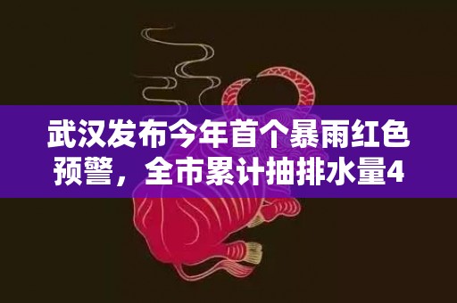 武汉发布今年首个暴雨红色预警，全市累计抽排水量460余万方