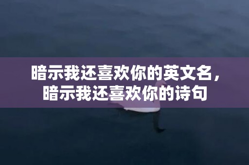 暗示我还喜欢你的英文名，暗示我还喜欢你的诗句