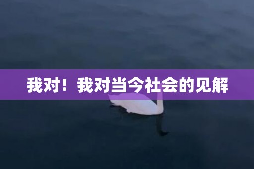 我对！我对当今社会的见解