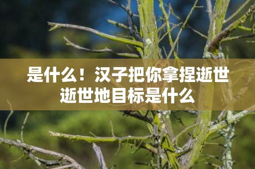 是什么！汉子把你拿捏逝世逝世地目标是什么