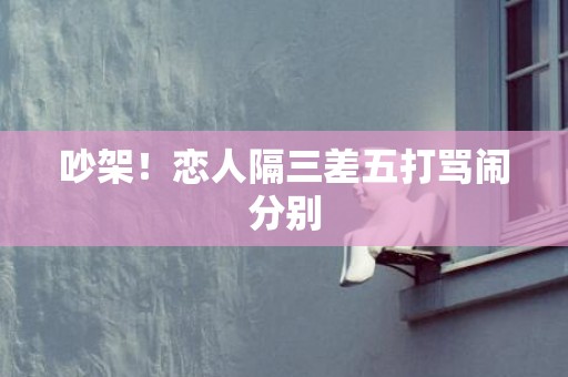 吵架！恋人隔三差五打骂闹分别