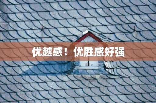 优越感！优胜感好强