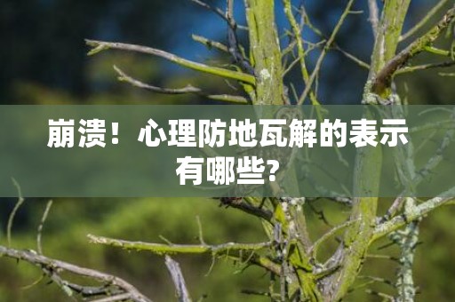 崩溃！心理防地瓦解的表示有哪些?
