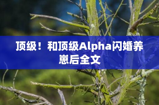 顶级！和顶级Alpha闪婚养崽后全文