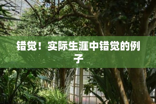 错觉！实际生涯中错觉的例子