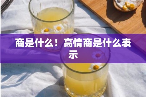 商是什么！高情商是什么表示
