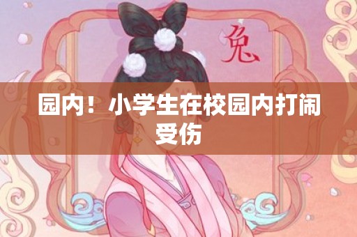 园内！小学生在校园内打闹受伤
