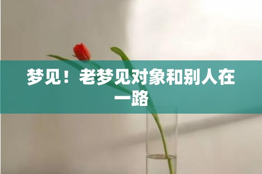 梦见！老梦见对象和别人在一路