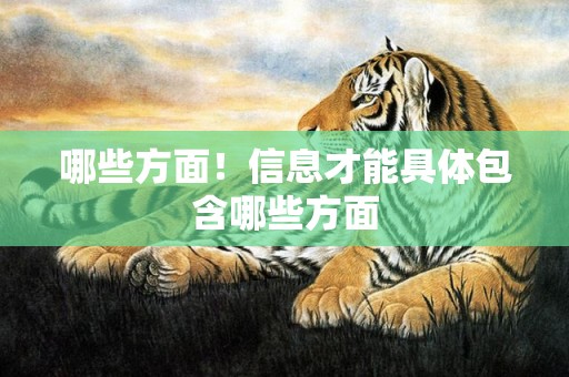 哪些方面！信息才能具体包含哪些方面