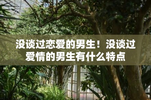 没谈过恋爱的男生！没谈过爱情的男生有什么特点