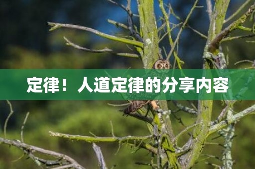 定律！人道定律的分享内容
