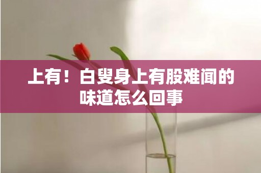 上有！白叟身上有股难闻的味道怎么回事