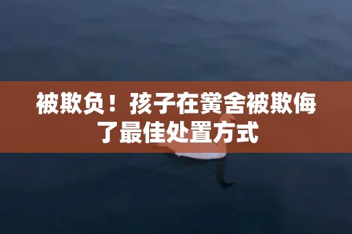 被欺负！孩子在黉舍被欺侮了最佳处置方式
