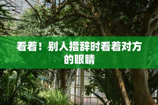 看着！别人措辞时看着对方的眼睛