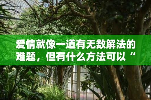 爱情就像一道有无数解法的难题，但有什么方法可以“赢得”中年男人的芳心