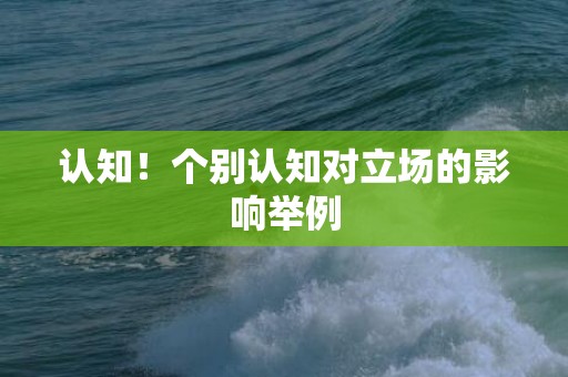 认知！个别认知对立场的影响举例