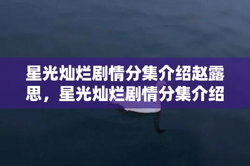 星光灿烂剧情分集介绍赵露思，星光灿烂剧情分集介绍