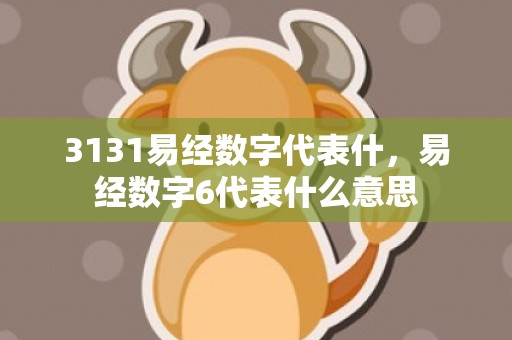 3131易经数字代表什，易经数字6代表什么意思