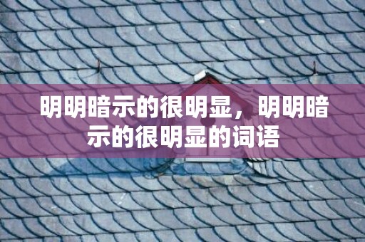 明明暗示的很明显，明明暗示的很明显的词语