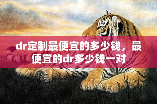 dr定制最便宜的多少钱，最便宜的dr多少钱一对