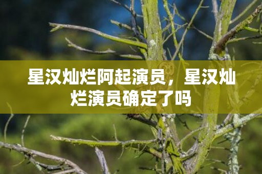 星汉灿烂阿起演员，星汉灿烂演员确定了吗