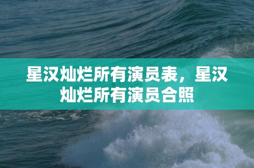 星汉灿烂所有演员表，星汉灿烂所有演员合照