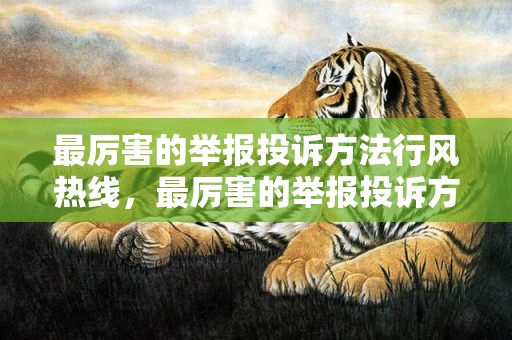 最厉害的举报投诉方法行风热线，最厉害的举报投诉方法学校