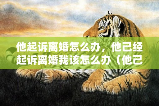 他起诉离婚怎么办，他己经起诉离婚我该怎么办（他己经起诉离婚我该怎么办理）