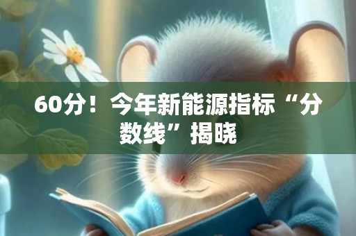 60分！今年新能源指标“分数线”揭晓