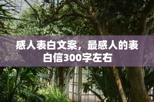 感人表白文案，最感人的表白信300字左右