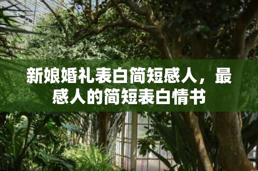 新娘婚礼表白简短感人，最感人的简短表白情书