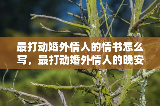 最打动婚外情人的情书怎么写，最打动婚外情人的晚安