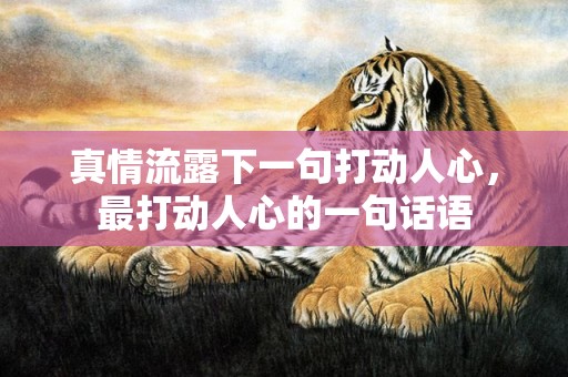 真情流露下一句打动人心，最打动人心的一句话语