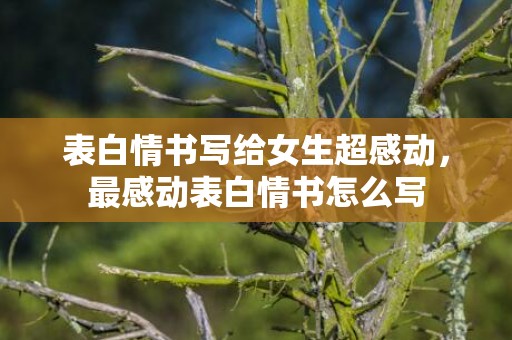 表白情书写给女生超感动，最感动表白情书怎么写