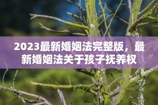 2023最新婚姻法完整版，最新婚姻法关于孩子抚养权
