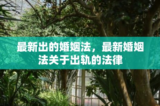 最新出的婚姻法，最新婚姻法关于出轨的法律