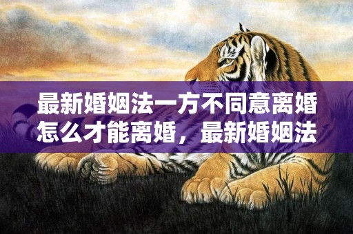 最新婚姻法一方不同意离婚怎么才能离婚，最新婚姻法一方不离婚