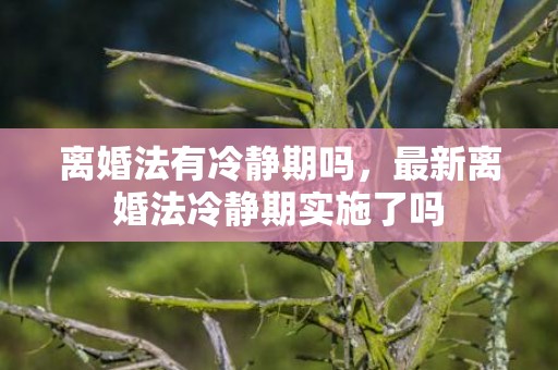 离婚法有冷静期吗，最新离婚法冷静期实施了吗