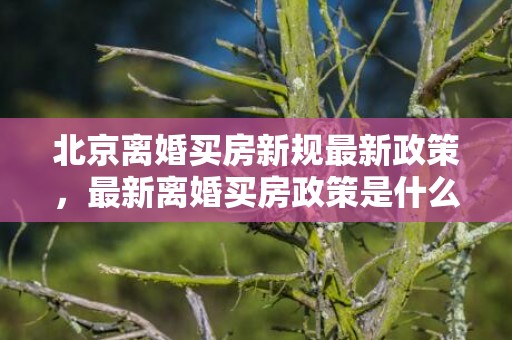 北京离婚买房新规最新政策，最新离婚买房政策是什么