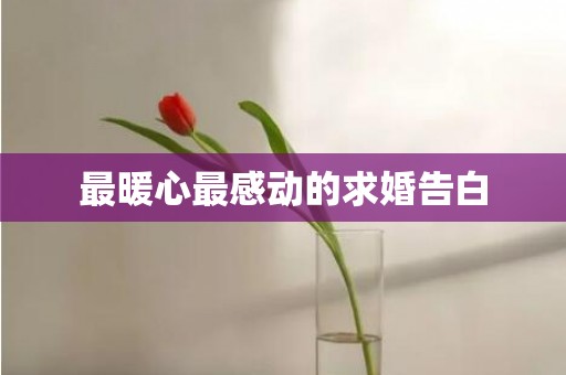 最暖心最感动的求婚告白