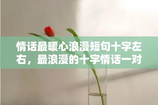 情话最暖心浪漫短句十字左右，最浪漫的十字情话一对