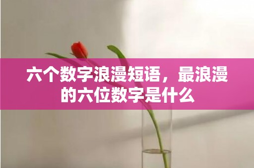 六个数字浪漫短语，最浪漫的六位数字是什么